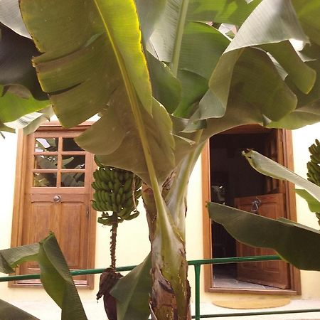 Casa Rural Llano Campo Hermigua Exterior foto